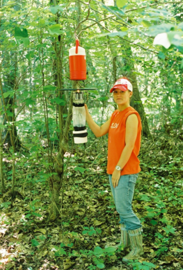Person standing in a wooded area holding a mosquito surveillance trap.