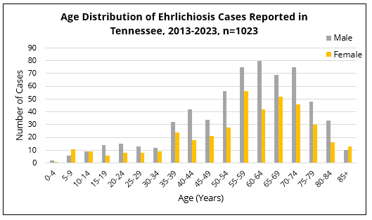 Bar chart showing ehrlichiosis cases in Tennessee by age group and sex, with higher case counts among adults aged 50 to 74 years.