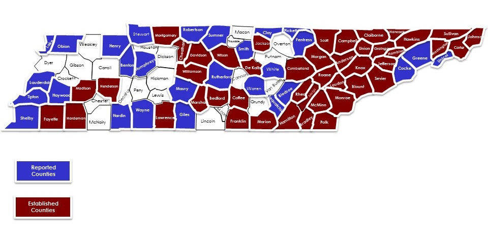 Map of Tennessee counties showing where Ixodes tick presence has been reported versus where it is established.