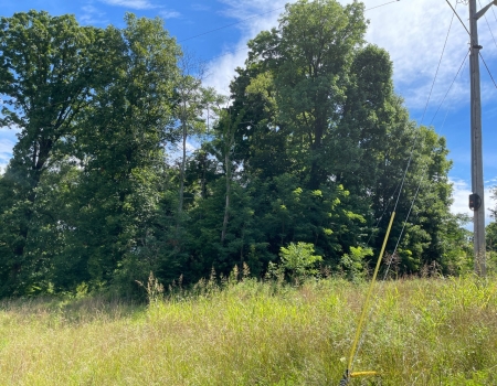 Image of Fort Redmond State Historic Site, green field with trees in the background