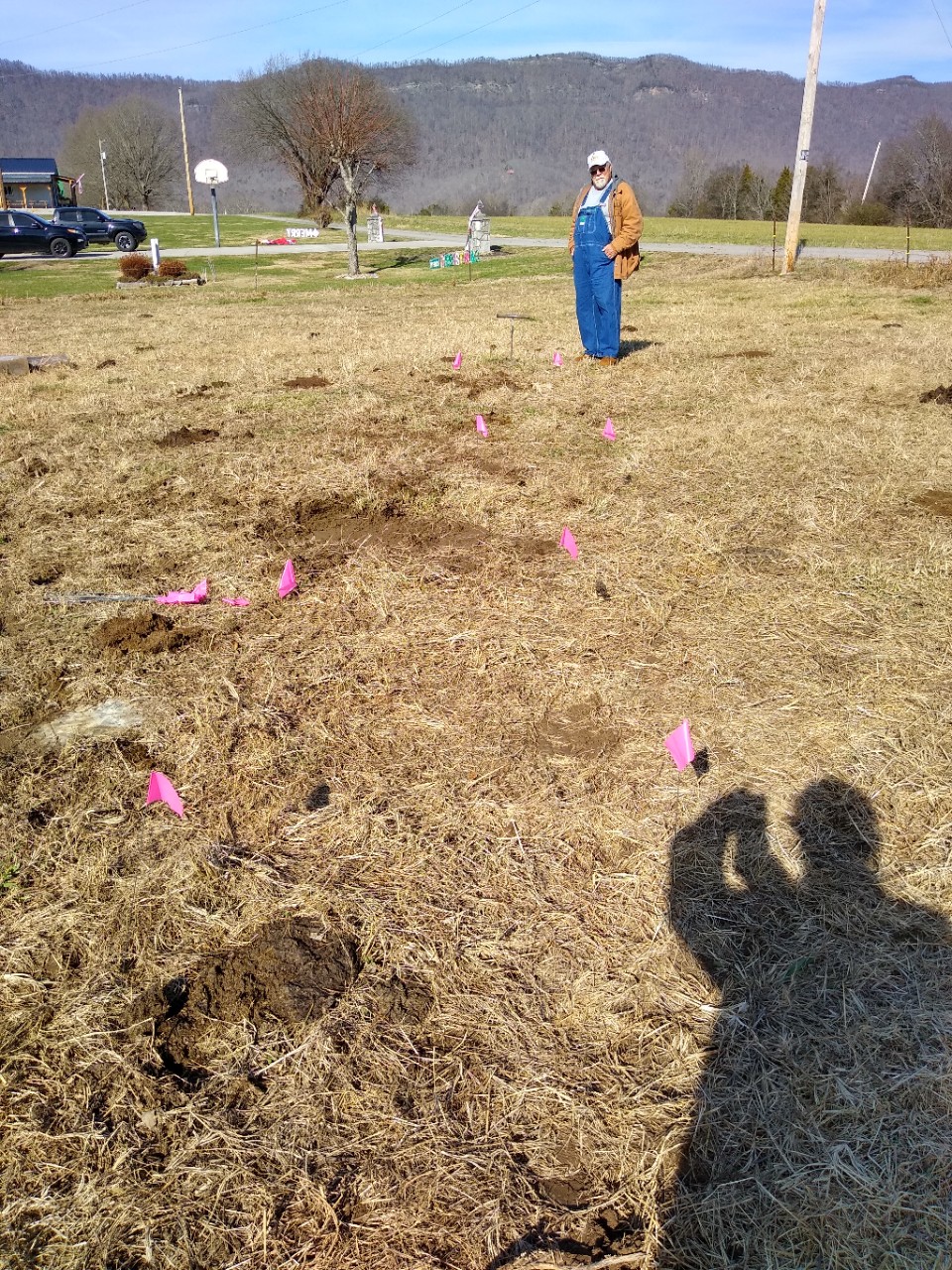  Grave layout at the Boyd Cemetery as determined by probing.