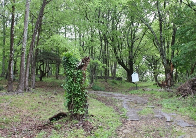 Pleasant Garden Cemetery