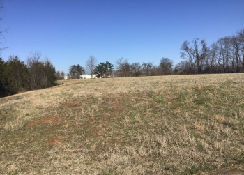 Image of a brown field with a tree line in the background