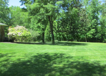 Image of a green field with trees and a pink flowering bush