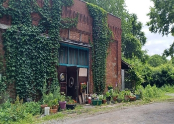 Image of a red brick building with green ivy growing 