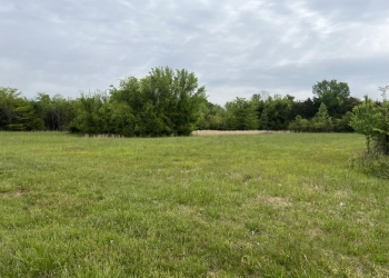 Image of a green field with trees in the background