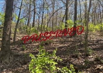 Image of trees in the winter time with no leaves, known as the Essary Tract Image of trees in the winter time with no leaves, known as the Essary Tract