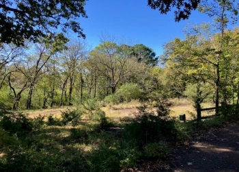 Image of a field with green trees. A broken fence is in the bottom right corner.