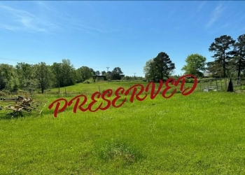 Image of a green field with trees in the distance, known as the Johnson Tract Image of a green field with trees in the distance, known as the Johnson Tract