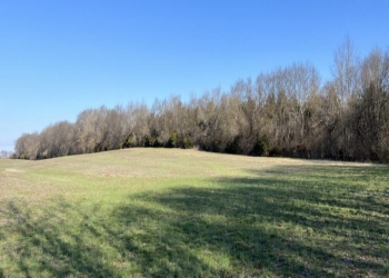 Image of a field in the winter time, trees with no leaves in the background