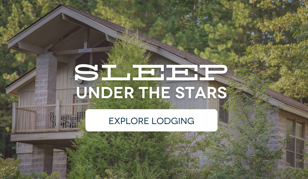 Sleep Under the Stars. Book Now.