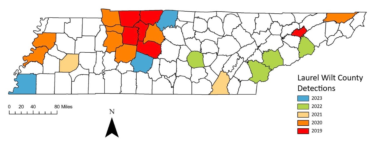 Map of Tennessee showing the spread of Laurel Wilt detections by county from 2019 to 2023. Counties are color-coded by the year of first detection: red for 2019, orange for 2020, light orange for 2021, light green for 2022, and light blue for 2023.