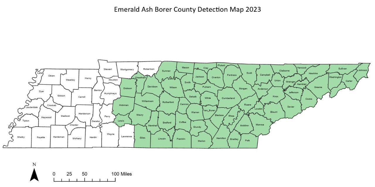 EAB 2023 Detection Map 2