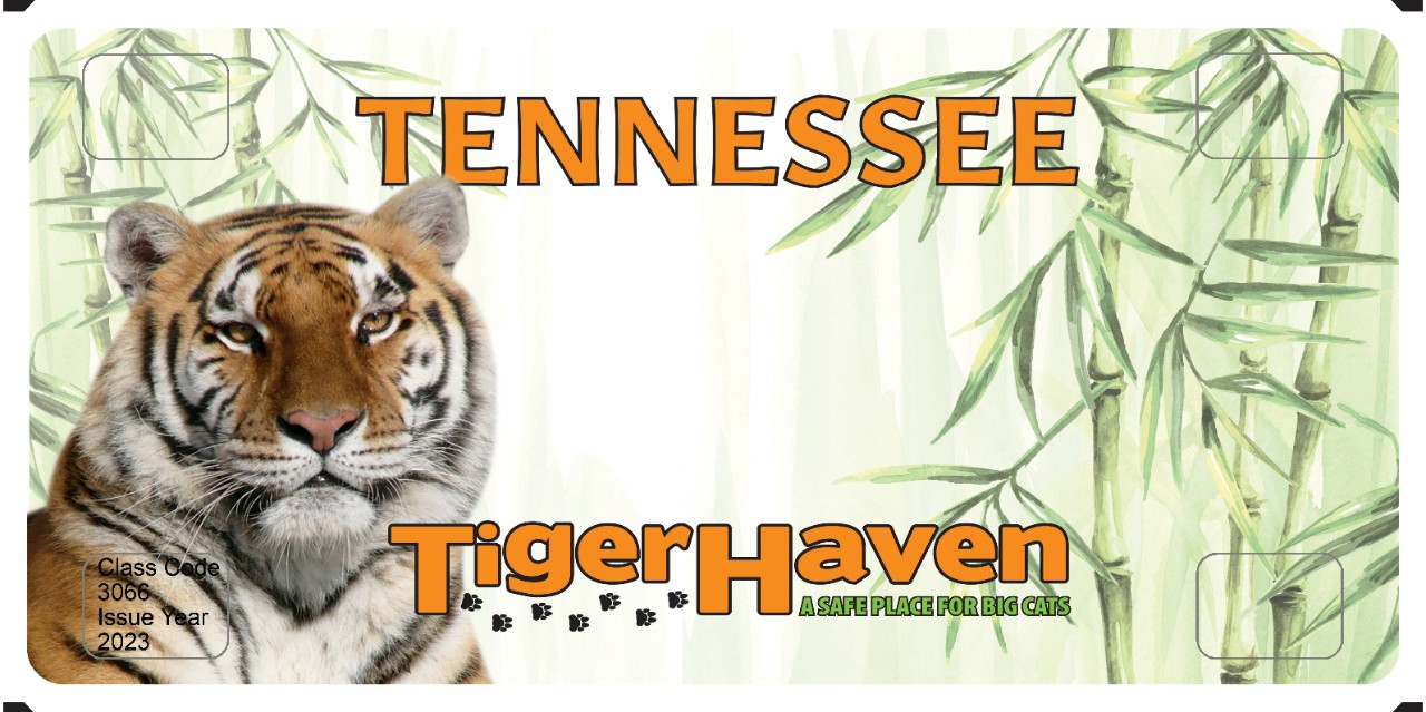 Tiger Haven Tiger Haven
