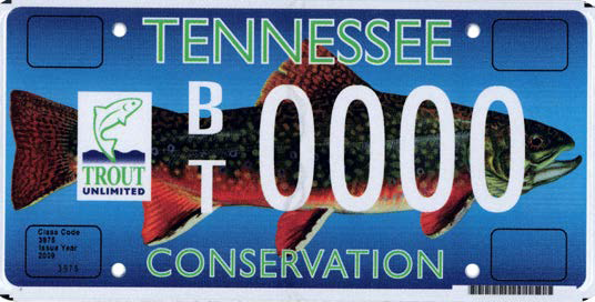 https://www.tn.gov/content/tn/revenue/title-and-registration/license-plates/available-license-plates/wildlife-and-animal/trout-unlimited/jcr%3Acontent/contentFullWidth/tn_panel/content/tn_columnctrl/column_parsys0/tn_image.img.png/1602253061391.png