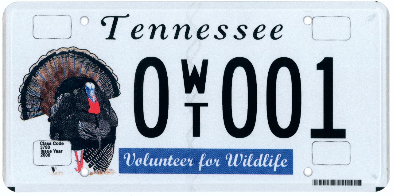 Fish & Wildlife Species - Turkey Fish & Wildlife Species - Turkey