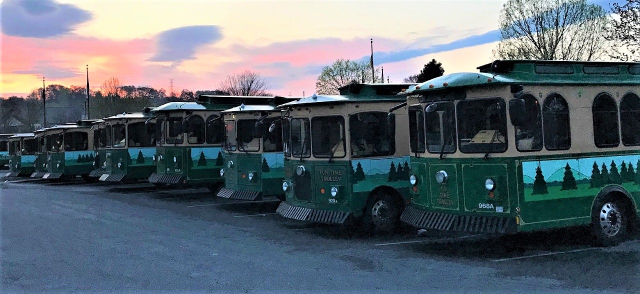 A row of green trolley buses is parked side by side at dusk under a colorful sky.