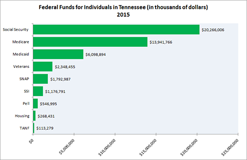 Federal Funds for Individuals in Tennessee