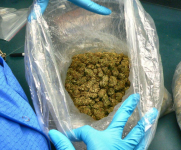 color test 1 Picture of green leafy substance