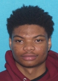 FORD DL PIC