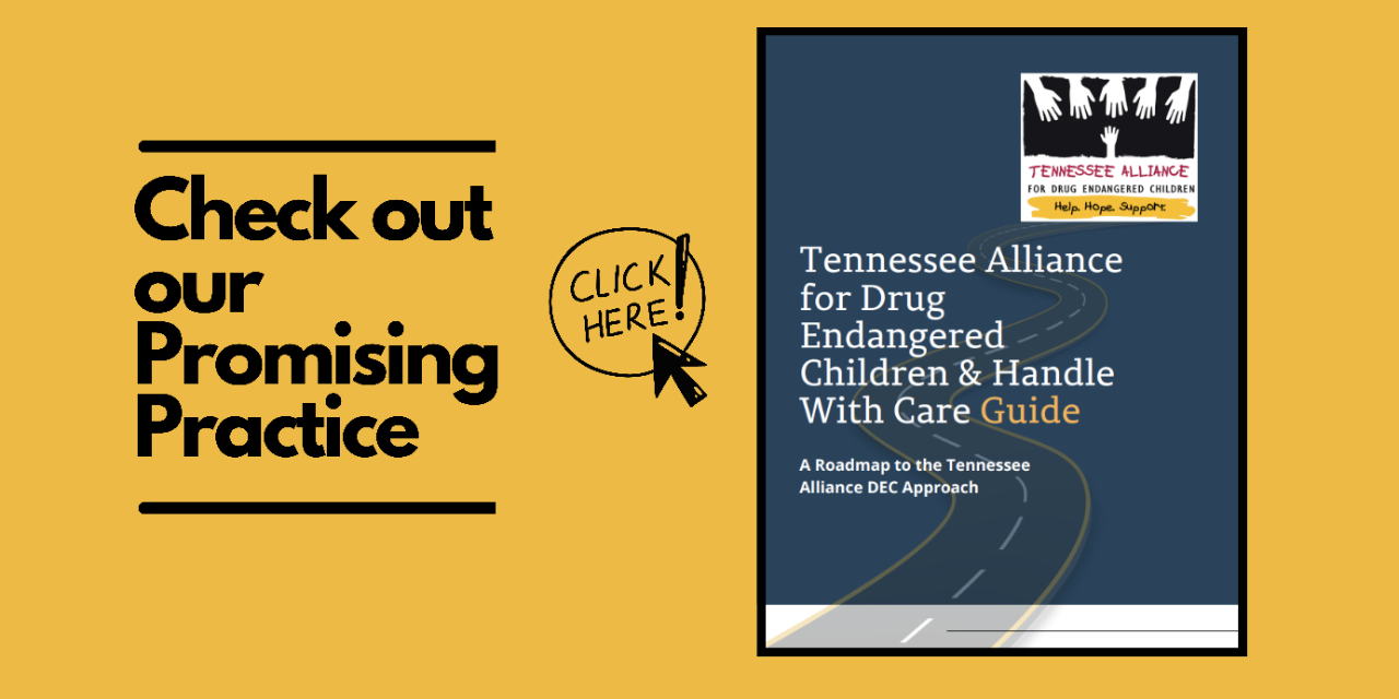 Promising Practice - 1