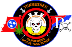 TDDTF Logo