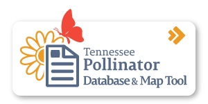 logo-pollinator-revegetation