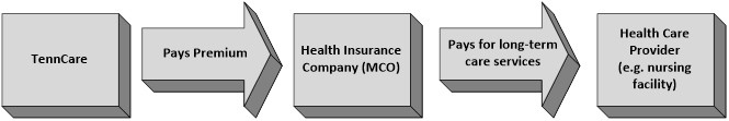 Estate Recovery Flowchart illustrating the process of TennCare paying a premium to a Health Insurance Company (MCO), which then pays for long-term care services to a healthcare provider, such as a nursing facility.