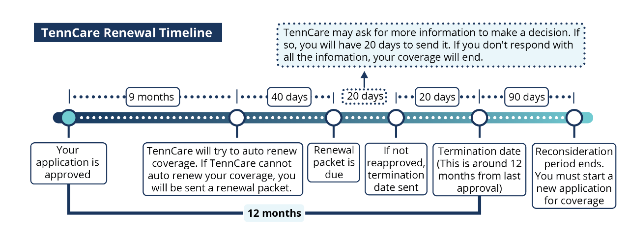 TennCare Renewal Timeline A blue hued timeline graphic showing the steps of a general TennCare renewal over a 12 month period. A full list of the information in the graphic is in the main text that follows this image.