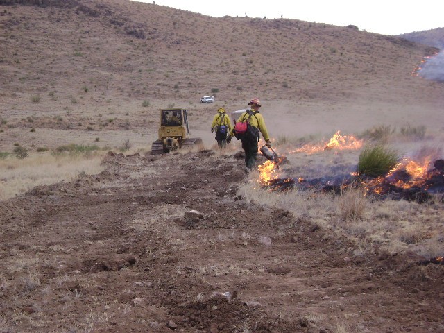Hand crew working with dozer Hand crew working with dozer