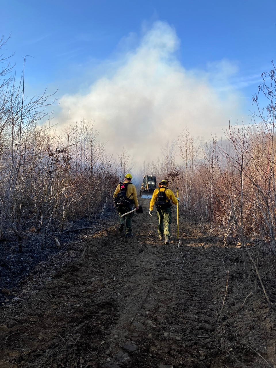 Two wildland firefighters in yellow gear walk a charred path in Tennessee, with smoke rising from a recent fire, flanked by bare trees under a blue sky.