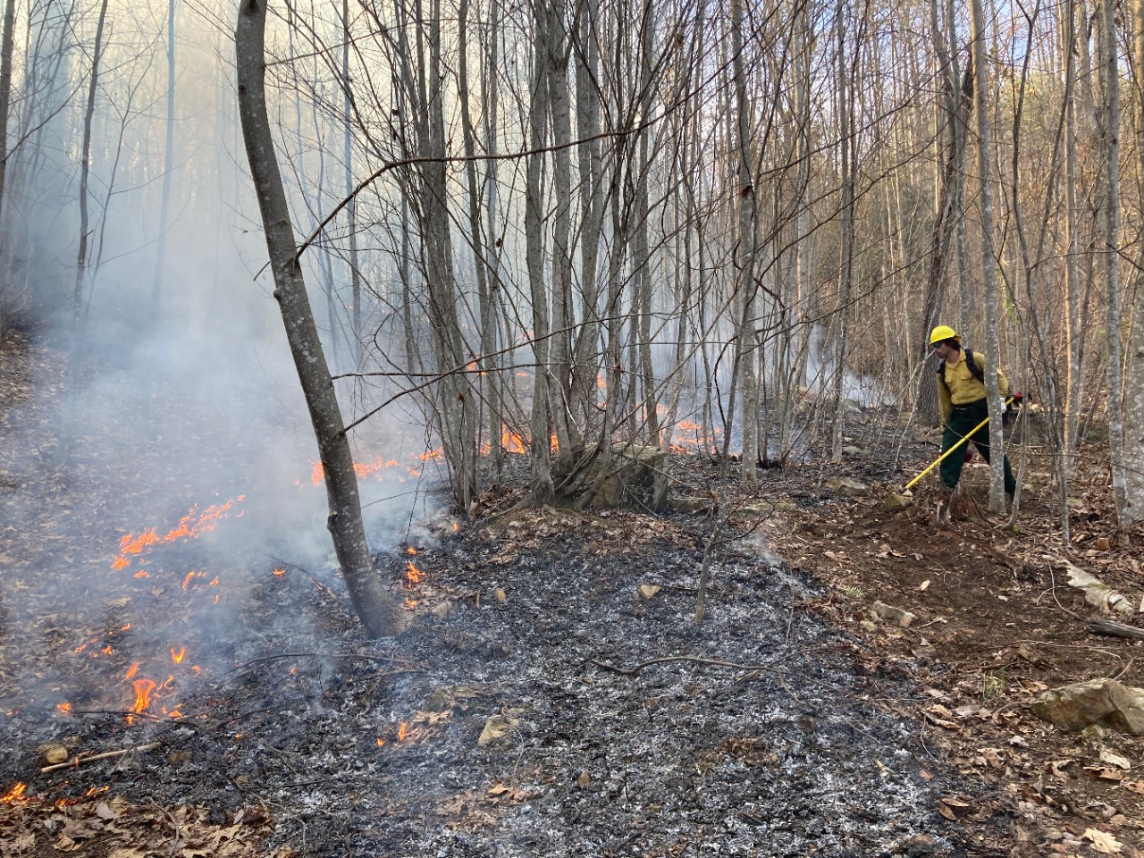 A wildland firefighter in a yellow helmet uses a digging tool to move leaves and dirt during a debris burn, with flames and smoke rising from the forest floor