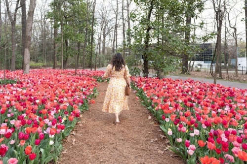 woman walking through Dixon Gallery and Gardens in Memphis