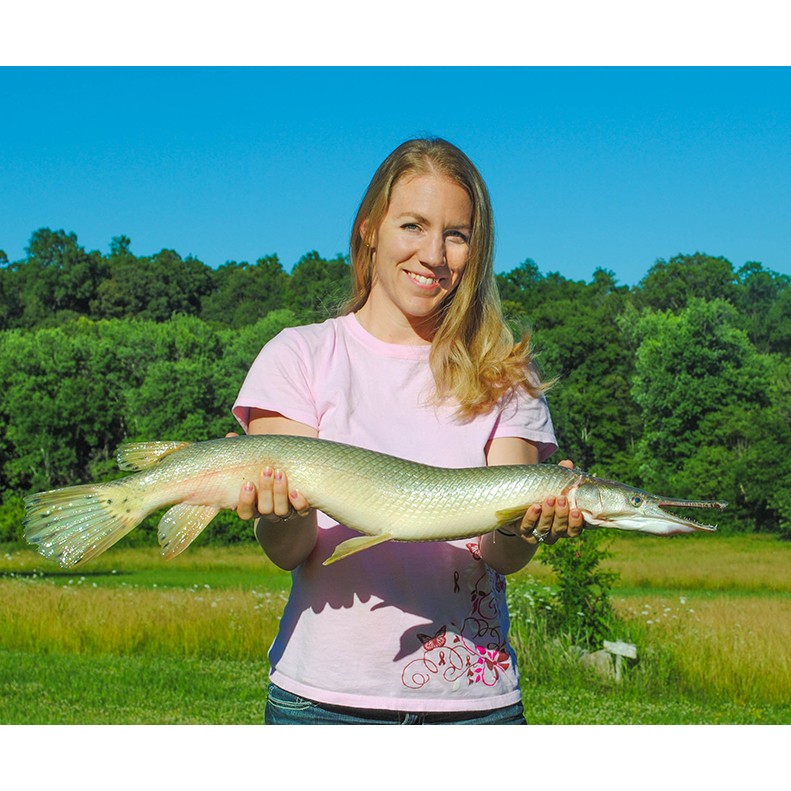 Stephanie Flood shows a State Record catch of a Shortnose Gar 7 lbs. 3 oz at Cross Creeks (Barkley Res.) TN, on June 13, 2014