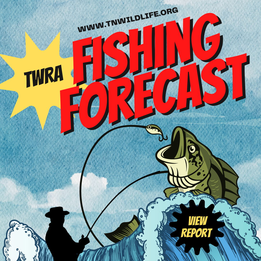 View the Weekly Fishing Forecast 