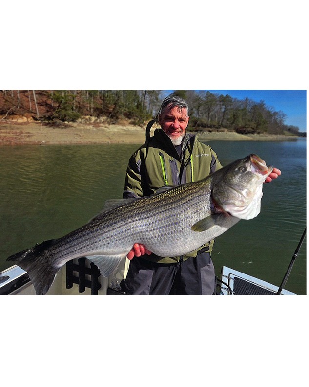 Mack Fowler Striped Bass 41.50” Boone Lake, 03-2026