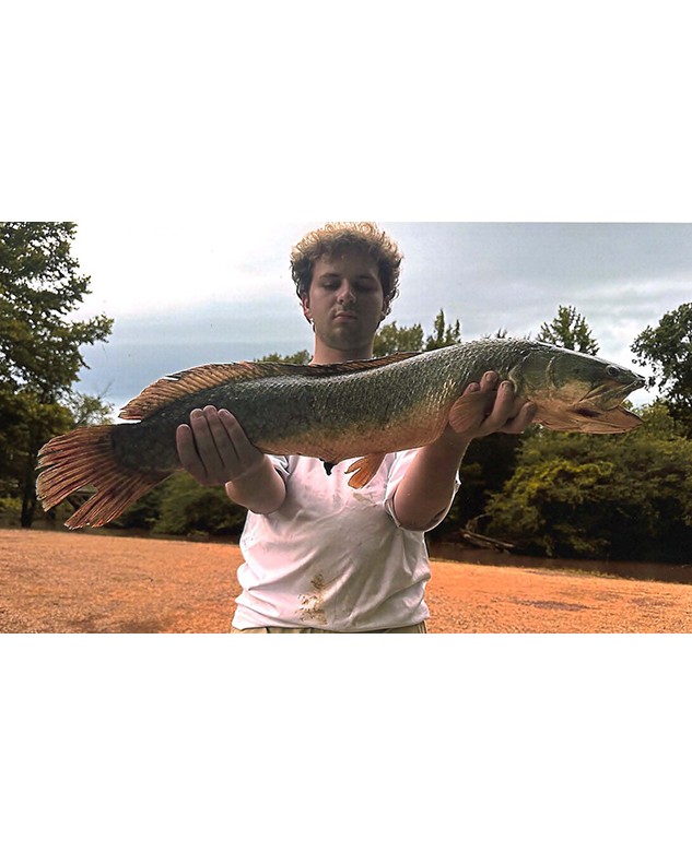 Cooper Martin, Bowfin 30”, Loosahatchie River