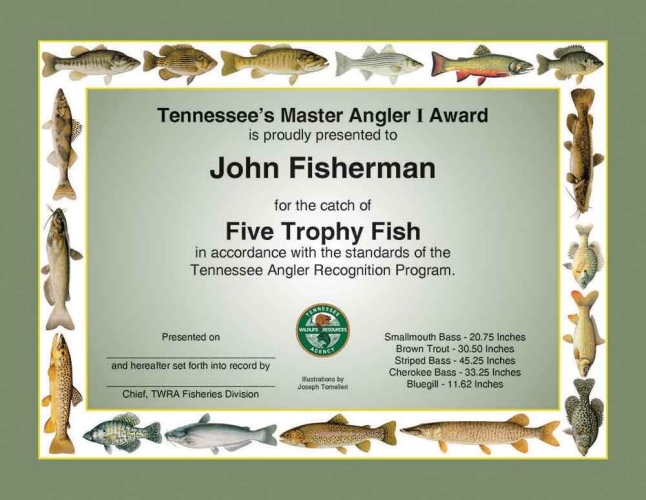 Master Angler 1 Certificate