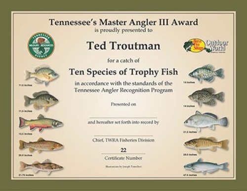 Master Angler 3 Certificate