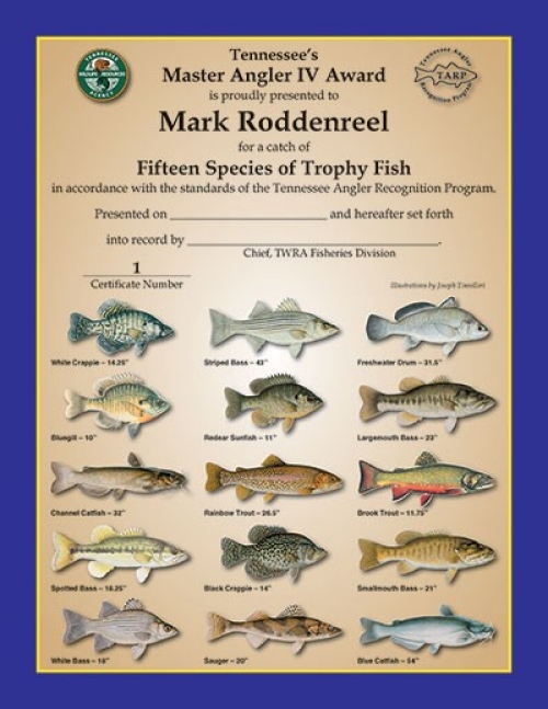 Master Angler IV Certificate