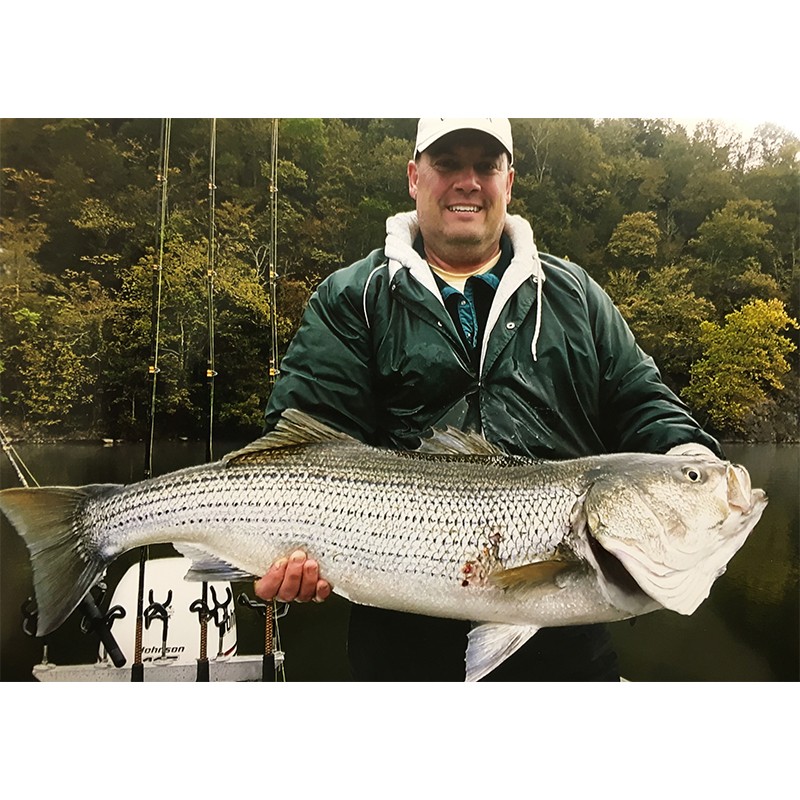 Michael McKinney, 40.25” Striped Bass - Ft. Patrick Henry Reservoir 