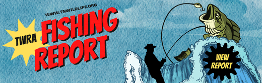 View the Weekly Fishing Forecast 