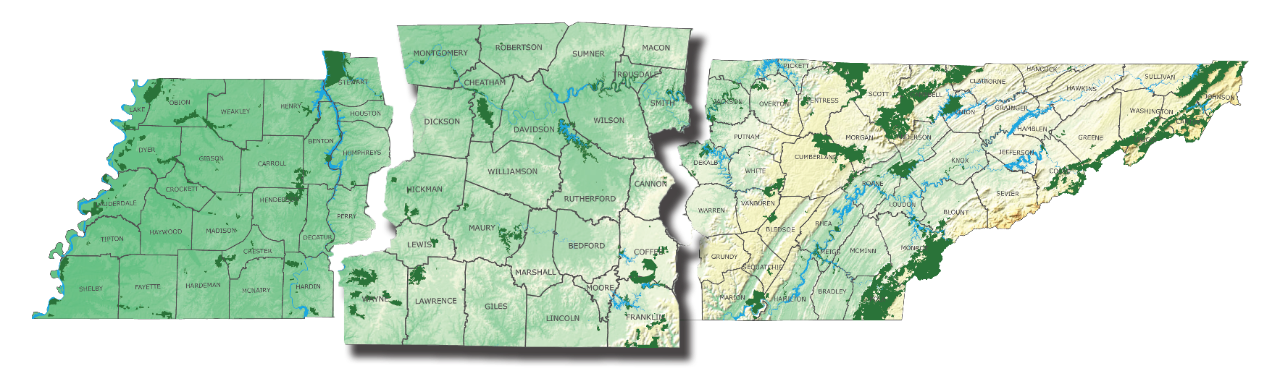 Middle Tennessee Region 2