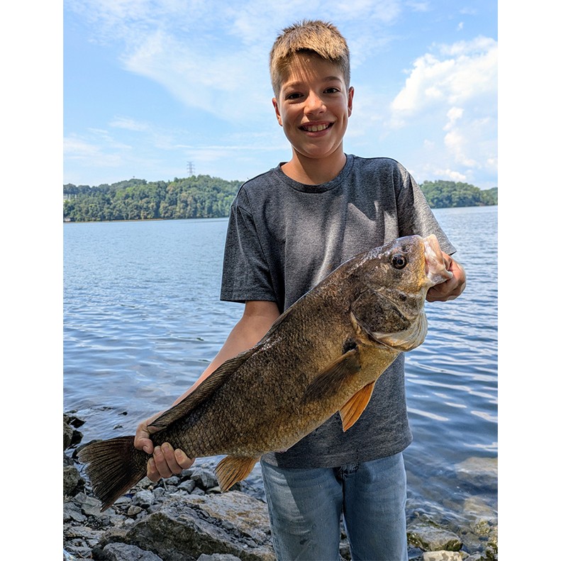 Marc Fischli shows a Freshwater Drum caught at Watts Bar Dam on August 15, 2025.