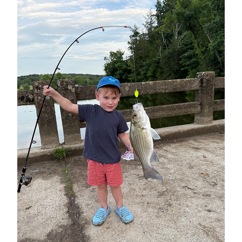 August Sudberry shows a Striped Bass caught at Blown Out Bridge, in Lebanon Tennessee on June 28, 2025. 