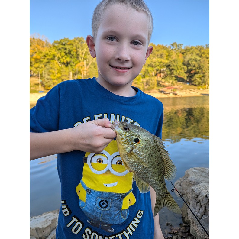 Peyton Terry shows a Redear Sunfish caught in Tazewell TN, on October 15, 2025.