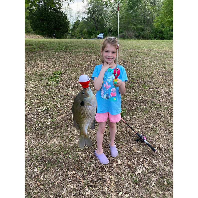 Adelaide McClanahan caught a Bluegill at Malone Pond in Brighton TN, on April 18, 2025.