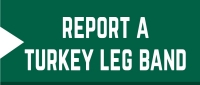 Report a Turkey Leg Band