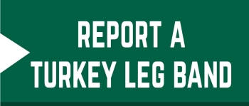 Report a Turkey Band