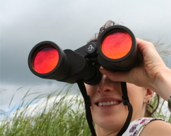Person looking through binoculars